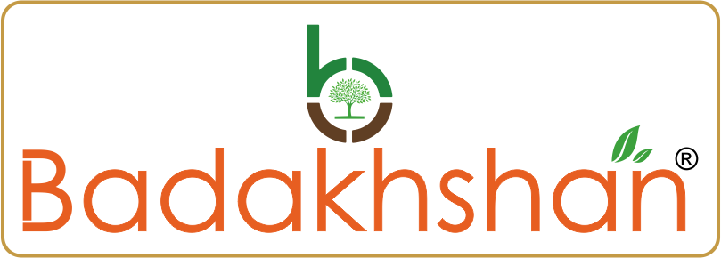 Badakhshan Logo
